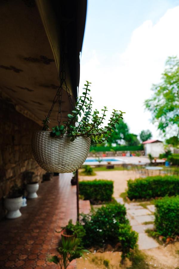 The Rustic Villa, A Stay With Luxuries Amenities And Exotic Nature Jaipur Ngoại thất bức ảnh